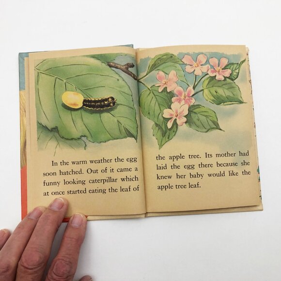 A Moth is Born by Herbert Walker 1967 Hardback - Picture 7 of 8